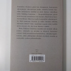 Ilkka Pitkänen : Alamylly : kertomus - pikkukuva 2