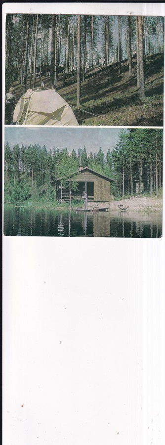 Saarijärvi , Ahvenlammen leirintäalue,   b674