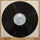 TAMIKO JONES : Love trip -LP - pikkukuva 3