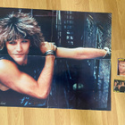 Bon Jovi juliste ja tarrat - pikkukuva 1