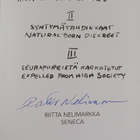 Riitta Nelimarkka : Riitta Nelimarkka : the marginal = ma... - pikkukuva 3