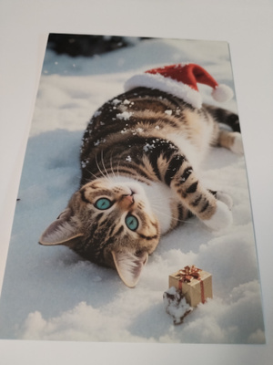 Kissa  joulu kortti, kulkematon.