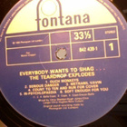 THE TEARDROP EXPLODES : EVERYBODY WANTS TO SHAG : VINYYLI LP - pikkukuva 3
