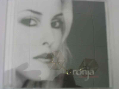 CDS RONJA-ELÄVIEN KIRJOISSA
