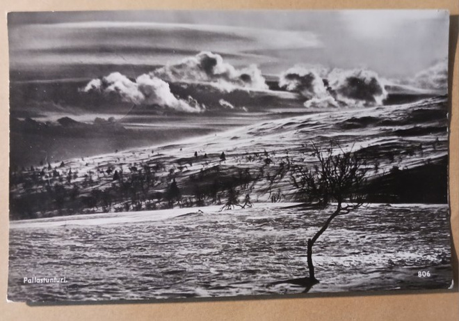 Pallastunturi, vanha mv pk, SMY nro 806, p. 1939