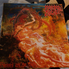 Morbid Angel- Blessed Are The Sick - pikkukuva 1