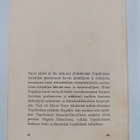 Mauri Noro : Kaitselmusaate Topeliuksen historianfilosofi... - pikkukuva 2