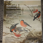 Antiikki & design 11-12/2016 - pikkukuva 2