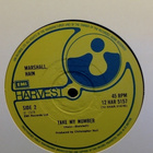 MARSHALL HAIN :: DANCING IN THE CITY : VINYYLI MAXI 12" 1978 - pikkukuva 5