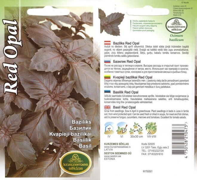 Maustebasilika 'Red Opal' - siemenet #