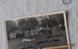 sotavalokuva kaatuneita sotilaita taistelutanner
