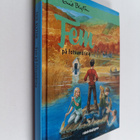 Enid Blyton : Fem på fotvandring - pikkukuva 1