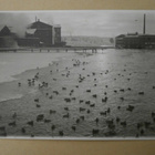 Tampere, sorsat avovedessä, tehtaat, koski, vkpk, p. 1933 - pikkukuva 1