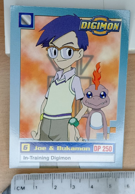 6 Joe & Bukamon