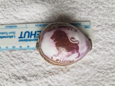 Näkinkenkä Leijona horoskooppi
