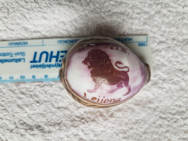 Näkinkenkä Leijona horoskooppi
