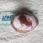 Näkinkenkä Leijona horoskooppi - pikkukuva 1