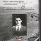 Shlomo Venezia: Sonderkommando - Tarinani Auschwitzista - pikkukuva 2