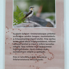 Pekka Hänninen : Kuukkelin kaltaiset : lintuharrastusopas - pikkukuva 2