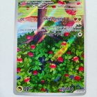 Applin 185/167 Illustration Rare Twilight Masquerade - pikkukuva 3