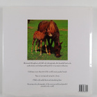 Lesley Bayley ym. : Big Book of Horses - pikkukuva 2