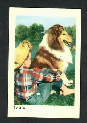 Keräilykuva - Lassie