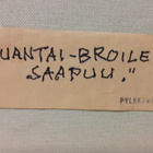 Pertti Pylkkönen "Lauantai-broileri saapuu" - pikkukuva 4