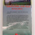 Lauren Brooke : Hevoshoitolan sisarukset 2 : Myrskyn jälkeen - pikkukuva 2