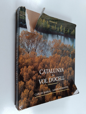 Catalunya a vol d'ocell