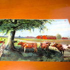 Heisckell Kesäidylli - 1910 - pikkukuva 1