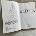 Antti Arve: Hjallis - pikkukuva 4