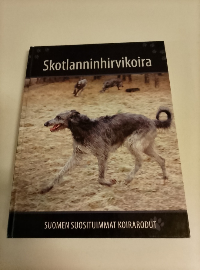 Skotlanninhirvikoira Suomen suosituimmat koirarodut