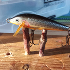 Rapala Sinking 5cm Ireland - pikkukuva 2