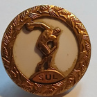 SUL kultainen ansiomerkki - pikkukuva 1