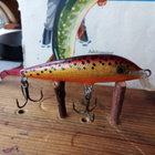 Rapala Team Esko 7cm vaappu väri : BRF - pikkukuva 1