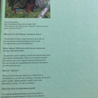 LOUNAMAA: SUOMEN KASVIT - pikkukuva 3