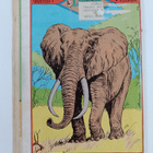 Edgar Rice Burroughs : Tarzan 8/1984 : Varokaa kotkaa! ; ... - pikkukuva 2