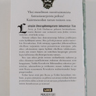 Raymond E. Feist : Kaupparuhtinaan nousu - pikkukuva 2