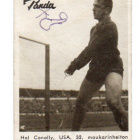 Purkkakuva Panda. Tokio HAL CONNOLLY. USA - pikkukuva 1