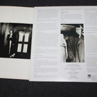Sting - Nothing like the Sun 2LP - pikkukuva 2