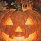 Halloween mäyräkoira ja suuri kurpitsa - pikkukuva 1