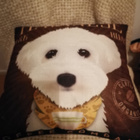 Havannankoira tyynynpäällinen - pikkukuva 4