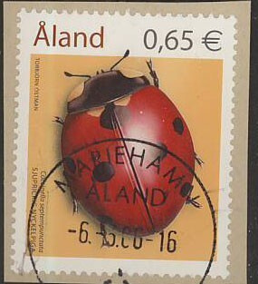 2006 leppäkerttu loisto