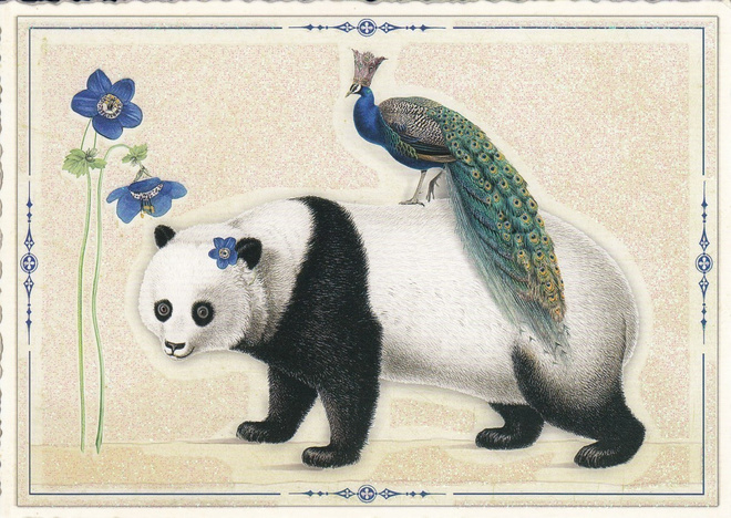 Panda ja riikinkukko (Tausendschön-kortti)