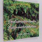 Kerttu Ekholm : Joulupuutarinoita = Julgransberättelser - pikkukuva 1