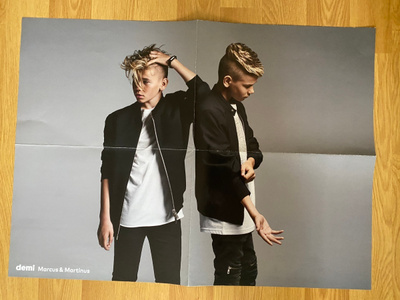 Marcus ja Martinus juliste