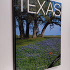 Frank Mollica : Texas - pikkukuva 1