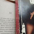 Friedrich Dürrenmatt - Lupaus: rikosromaanin sielumessu - pikkukuva 3
