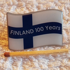 SUOMI 100 PINSSI - pikkukuva 1