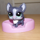 LITTLEST PET SHOP harmaa-lila kimalle KOIRA + peti - pikkukuva 1